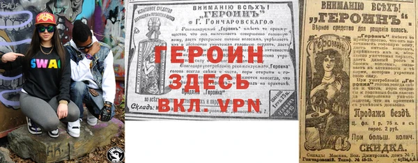 молекула духа Арсеньев