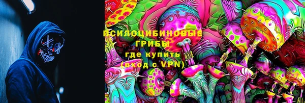 молекула духа Арсеньев