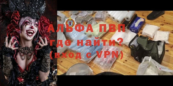 молекула духа Арсеньев