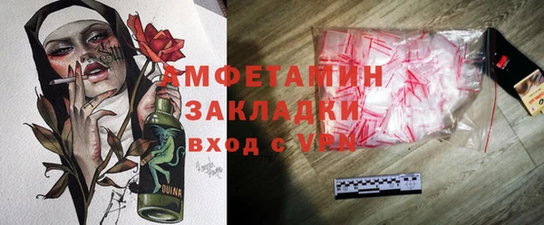 молекула духа Арсеньев