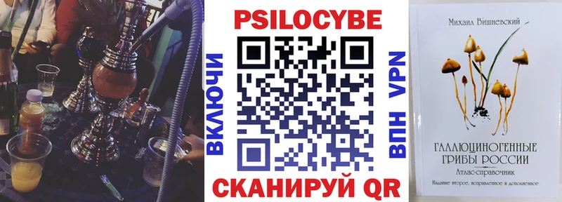 Галлюциногенные грибы Psilocybe  Купить  Оханск 